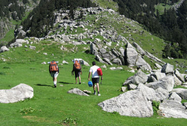 Triund trek