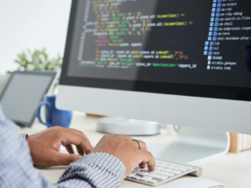 software development