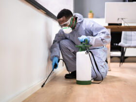 Pest Inspection